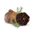 Schwarzer Knoblauch - Feinkost Genuss